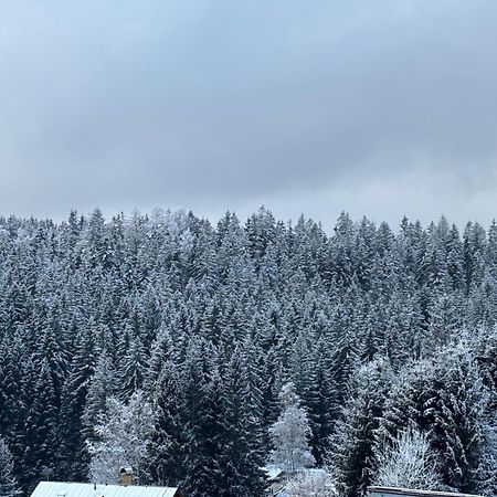 Penzion Verde Rosa Harrachov Exterior foto