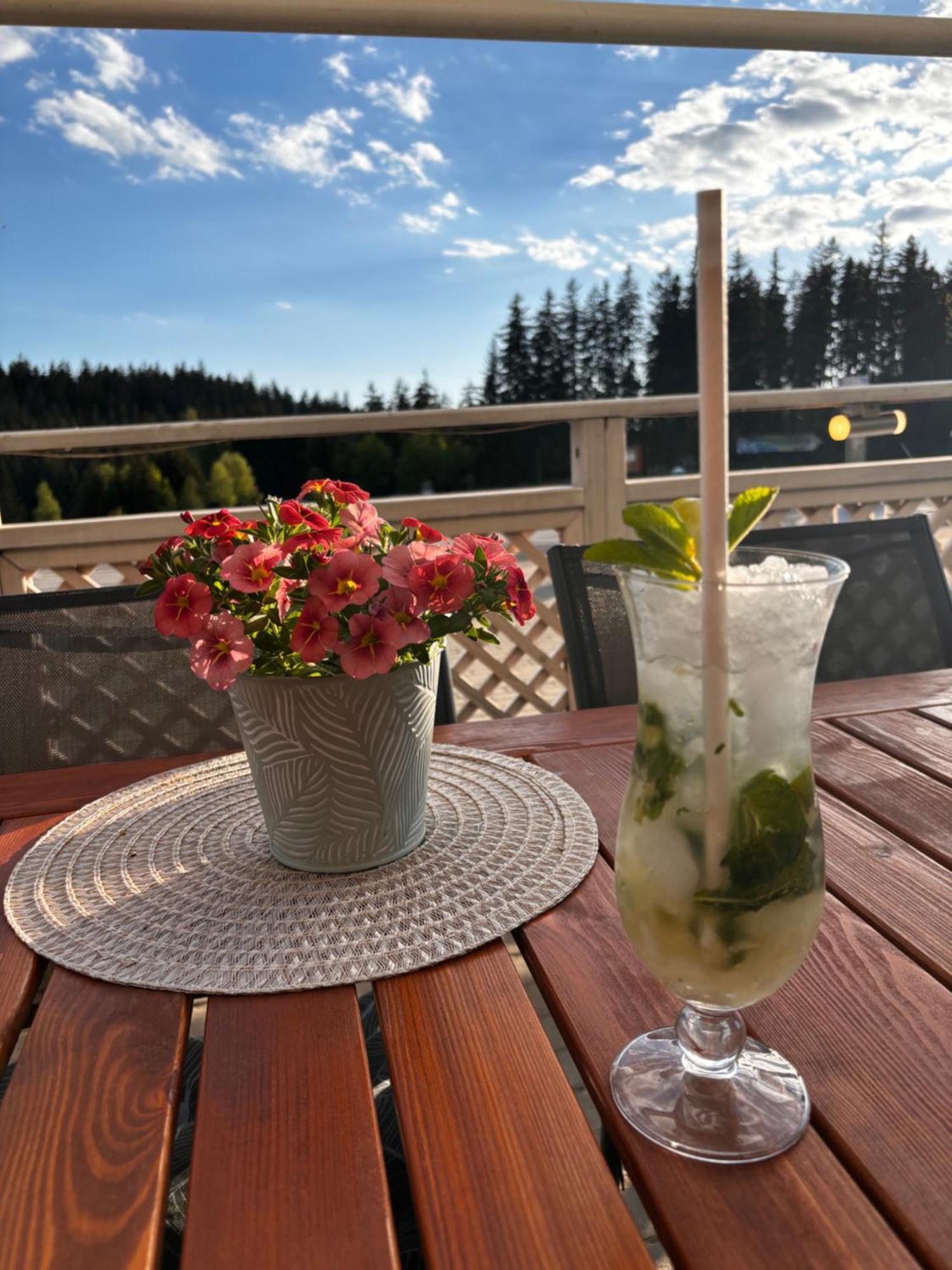 Penzion Verde Rosa Harrachov Exterior foto