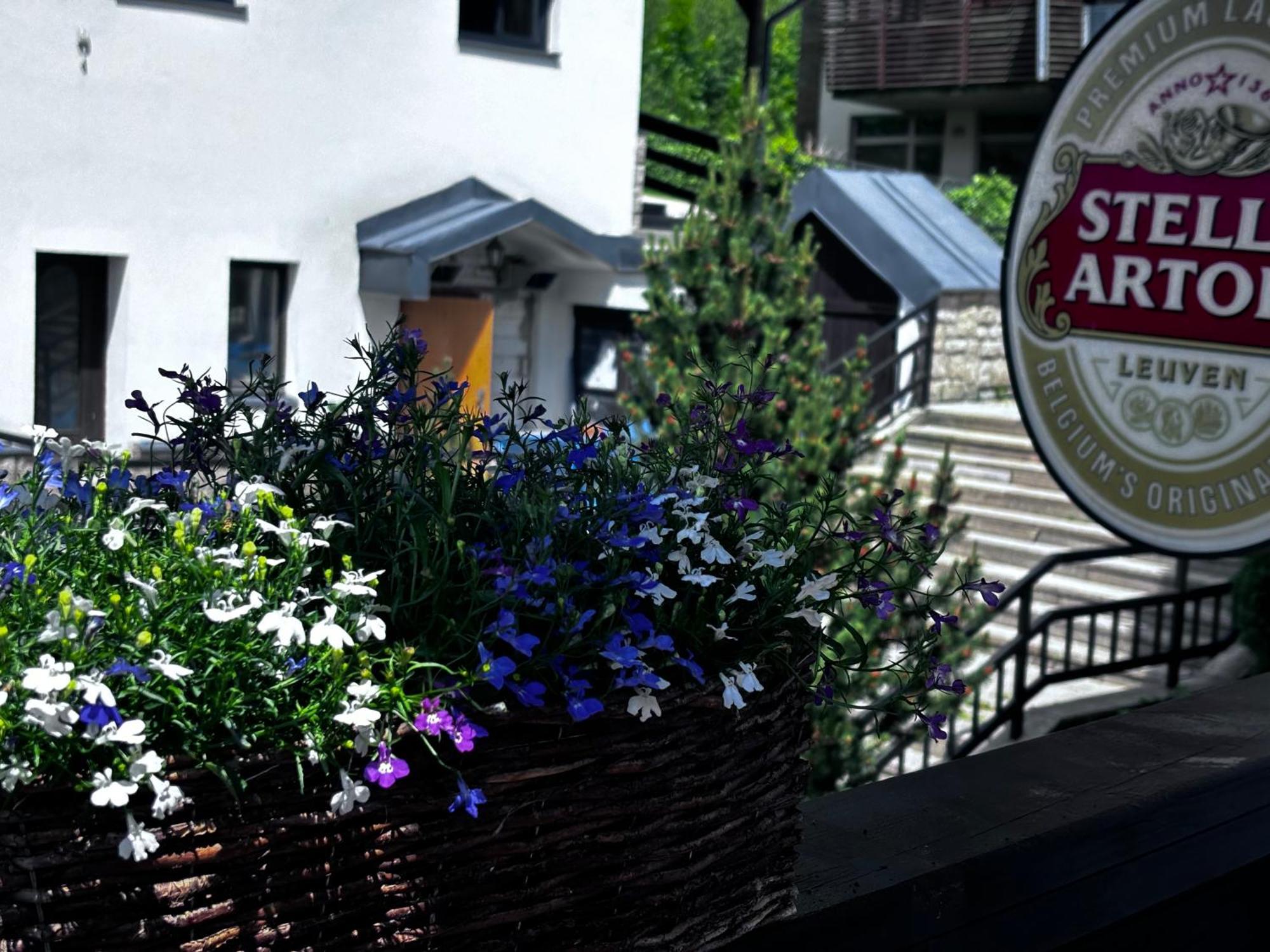 Penzion Verde Rosa Harrachov Exterior foto