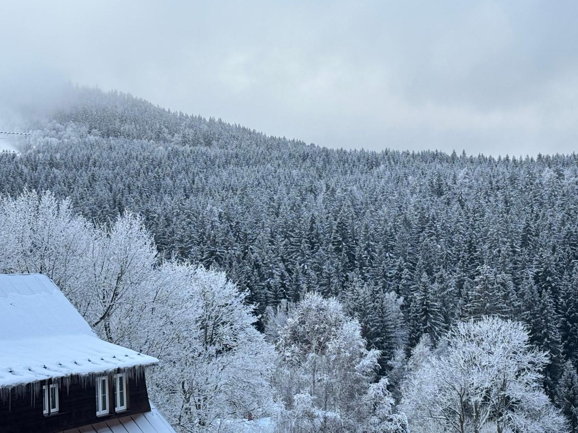 Penzion Verde Rosa Harrachov Exterior foto